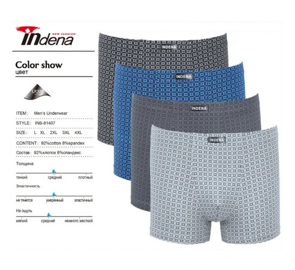Труси чоловічі INDENA 12 шт (L-4XL) коттон RZ6000_81407
