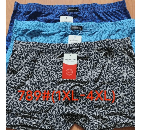Труси чоловічі CASTOM 12 шт (1-4XL) бамбук RZ6000_789