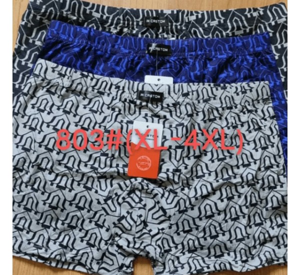 Труси чоловічі CASTOM 12 шт (1-4XL) бамбук RZ6000_803