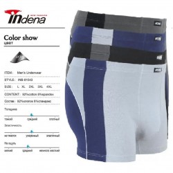 Труси чоловічі INDENA 12 шт (L-4XL) коттон RZ6000_81043B