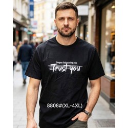 Футболка мужская 6 шт (1-4XL) коттон RZ6000_8808