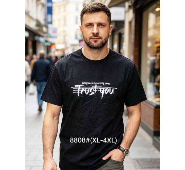 Футболка мужская 6 шт (1-4XL) коттон RZ6000_8808