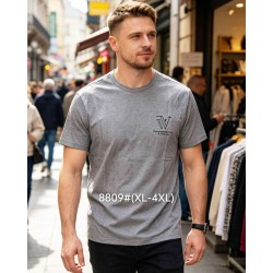 Футболка мужская 6 шт (1-4XL) коттон RZ6000_8809a
