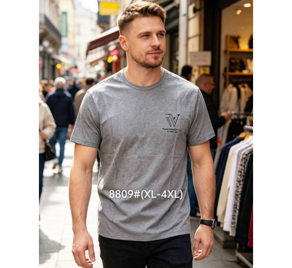 Футболка мужская 6 шт (1-4XL) коттон RZ6000_8809a
