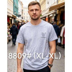 Футболка мужская 6 шт (1-4XL) коттон RZ6000_8809b