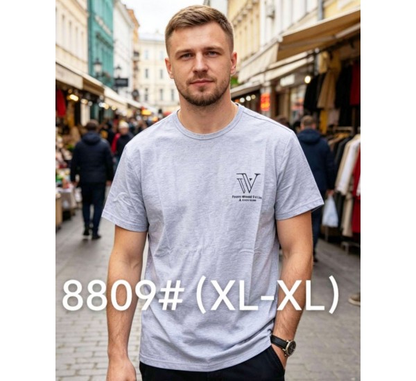 Футболка мужская 6 шт (1-4XL) коттон RZ6000_8809b