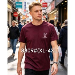 Футболка мужская 6 шт (1-4XL) коттон RZ6000_8809c