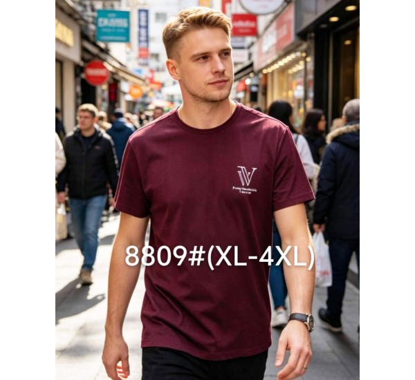 Футболка мужская 6 шт (1-4XL) коттон RZ6000_8809c