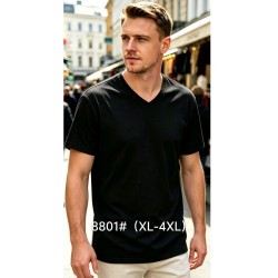 Футболка мужская 6 шт (1-4XL) коттон RZ6000_8801a