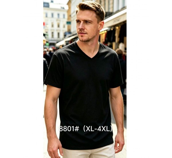 Футболка мужская 6 шт (1-4XL) коттон RZ6000_8801a