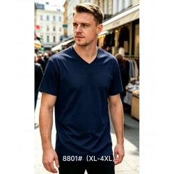 Футболка мужская 6 шт (1-4XL) коттон RZ6000_8801b
