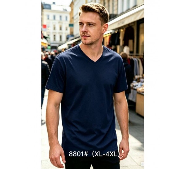 Футболка мужская 6 шт (1-4XL) коттон RZ6000_8801b