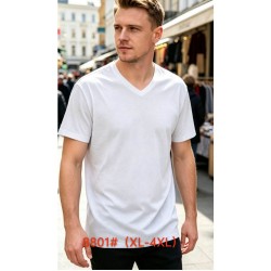 Футболка мужская 6 шт (1-4XL) коттон RZ6000_8801c