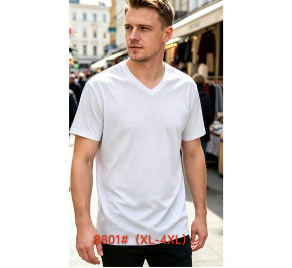 Футболка мужская 6 шт (1-4XL) коттон RZ6000_8801c