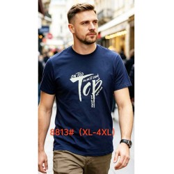 Футболка мужская 6 шт (1-4XL) коттон RZ6000_8813a