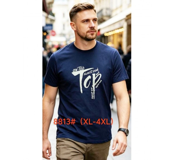 Футболка мужская 6 шт (1-4XL) коттон RZ6000_8813a