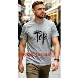 Футболка мужская 6 шт (1-4XL) коттон RZ6000_8813b