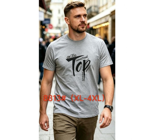 Футболка мужская 6 шт (1-4XL) коттон RZ6000_8813b