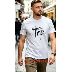 Футболка мужская 6 шт (1-4XL) коттон RZ6000_8813c