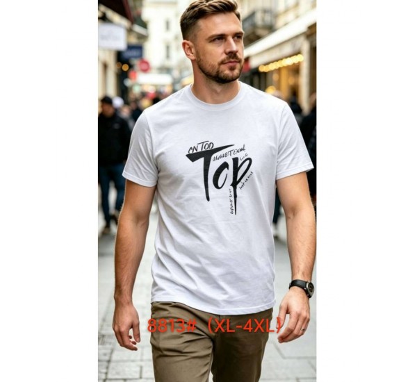 Футболка мужская 6 шт (1-4XL) коттон RZ6000_8813c