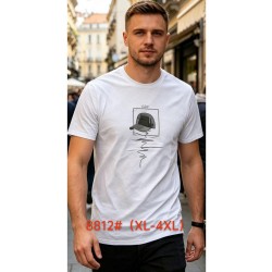 Футболка мужская 6 шт (1-4XL) коттон RZ6000_8812