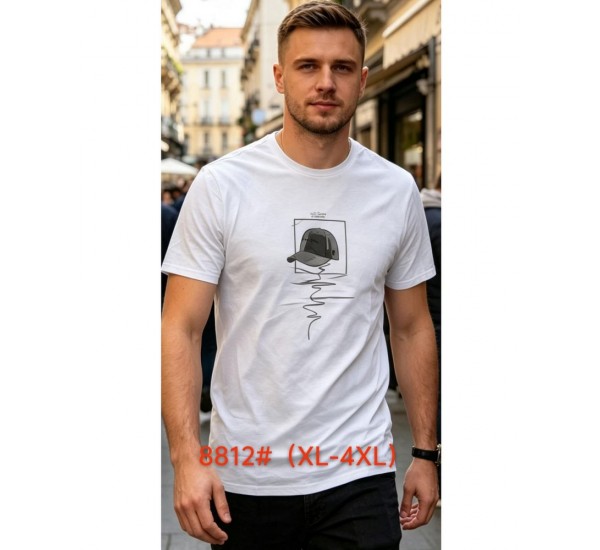 Футболка мужская 6 шт (1-4XL) коттон RZ6000_8812