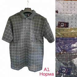 Футболка мужская трикотаж 5 шт (1-5XL) SeR2152_A1