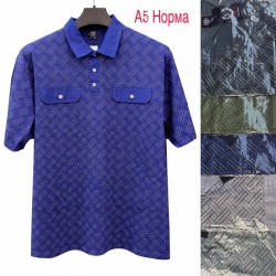 Футболка мужская трикотаж 5 шт (1-5XL) SeR2152_A5