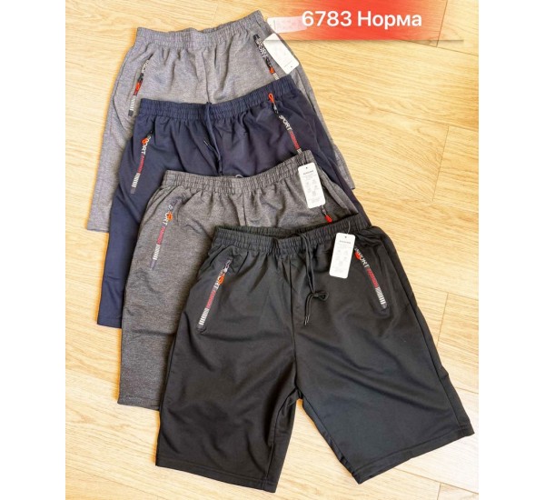 Шорты мужские двунить 6 шт (46-56 р) SeR2152_6783