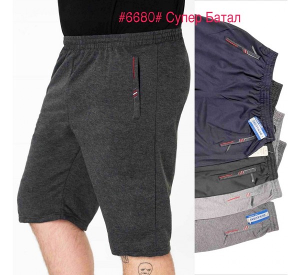 Шорты мужские двунить 6 шт (4-9XL) SeR2152_6680