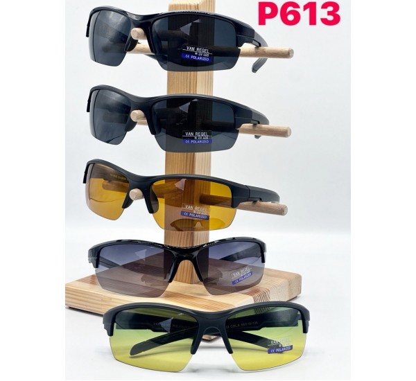 Окуляри VAN REGEL чоловічі Polarized 3 шт SoH_P613
