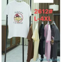 Футболка жіноча, стрейч/коттон 5 шт (50-58 р) ZeL777_2612