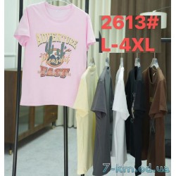 Футболка жіноча, стрейч/коттон 5 шт (48-56 р) ZeL777_2613