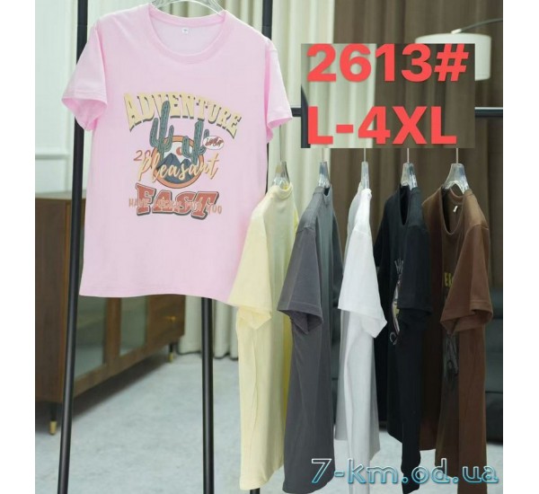 Футболка жіноча, стрейч/коттон 5 шт (48-56 р) ZeL777_2613