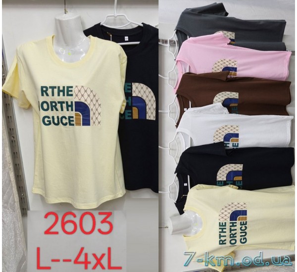Футболка женская, стрейч/коттон 5 шт (L-4XL) ZeL777_2603