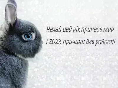 З наступаючим Новим роком 2023 !