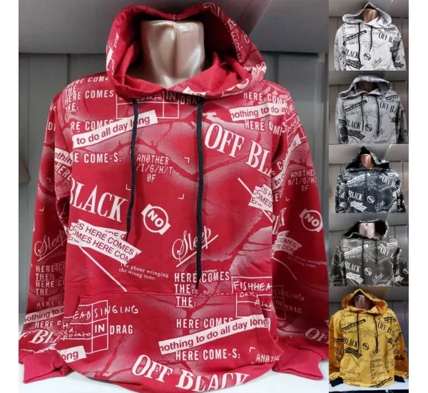 Худі чоловічий HR1890_300307 двунитка 4 шт (M-2XL) Худі чоловічий HR1890_300307 двунитка 4 шт (M-2XL)