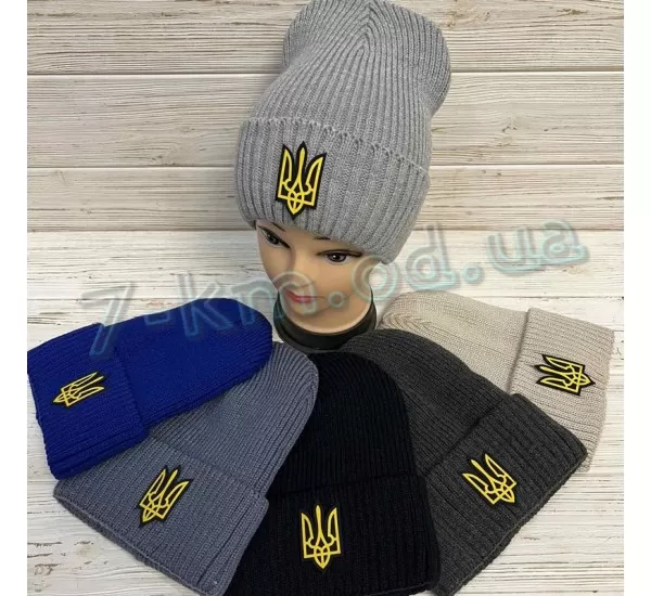 Шапка чоловіча ML903_031031 фліс 5 шт Шапка чоловіча ML903_031031 фліс 5 шт