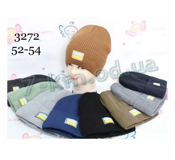 Шапка для хлопчиків ML903_3272 фліс 5 шт (52-54 р) Шапка для хлопчиків ML903_3272 фліс 5 шт (52-54 р)