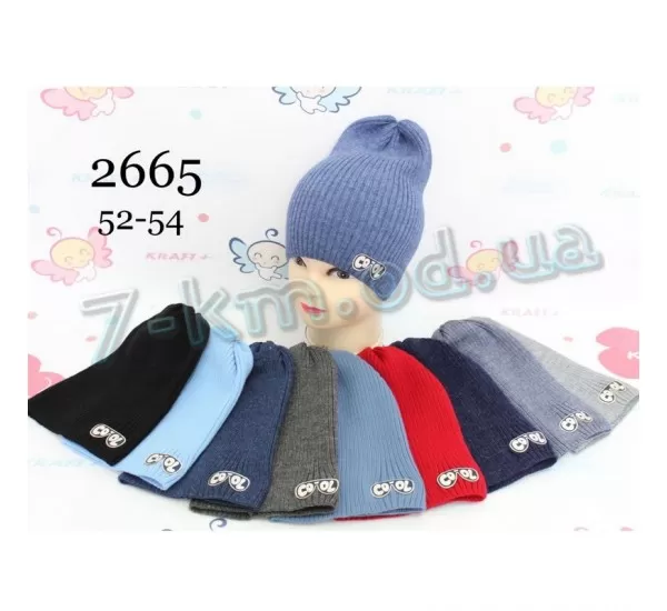 Шапка для хлопчиків ML903_2665 трикотаж 5 шт (52-54 р) Шапка для хлопчиків ML903_2665 трикотаж 5 шт (52-54 р)