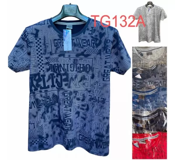 Футболка мужская, трикотаж 5 шт (1-3XL) SeR2152_TG132A Футболка мужская, трикотаж 5 шт (1-3XL) SeR2152_TG132A