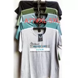 Футболка мужская, трикотаж 10 шт (1-5XL) DLD_A77