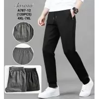 Спорт штани чоловічі 6 шт (4-7XL) коттон PaH_A787-12