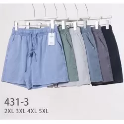Шорты женские 6 шт (2-5XL) коттон PaH_431-3
