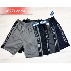 Шорты мужские, двунитка 6 шт (46-56 р) SeR2152_6627