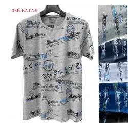 Футболка мужская трикотаж 5 шт (6-8XL) SeR2152_03B