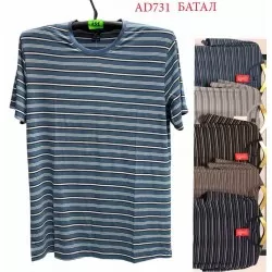 Футболка мужская трикотаж 5 шт (5-8XL) SeR2152_AD731