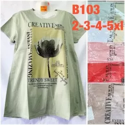 Футболка жіноча, бавовна 5 шт (2-5XL) TaN_B103